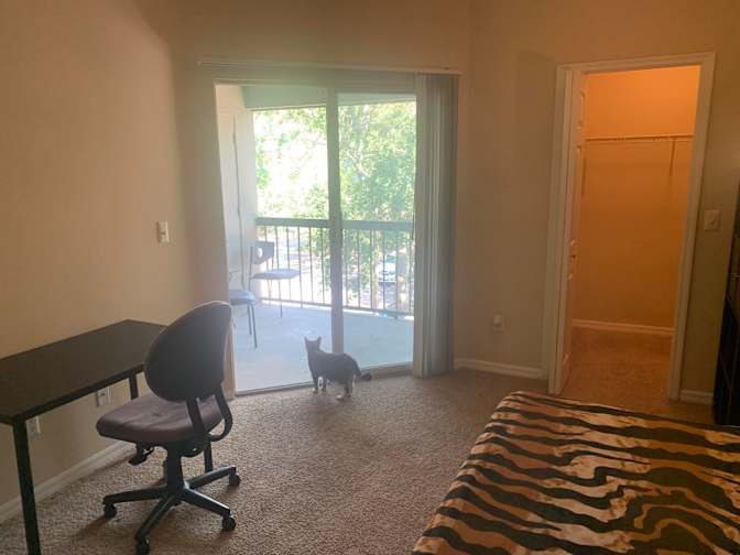 Pavel Reider's room