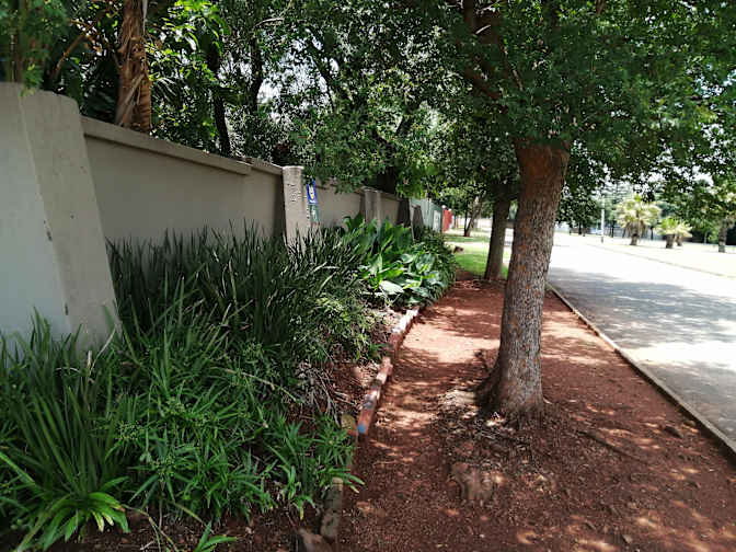 VENESSA MOMBERG's room