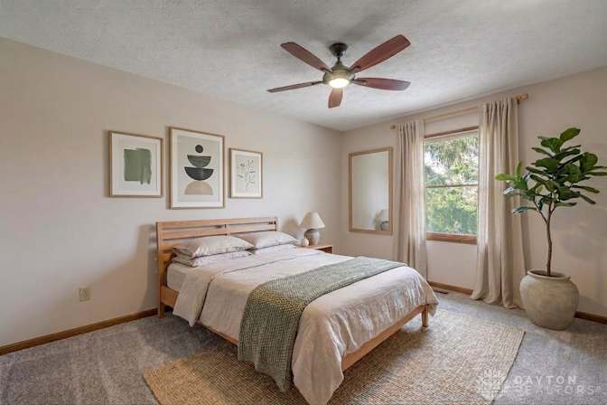 Shawn's room