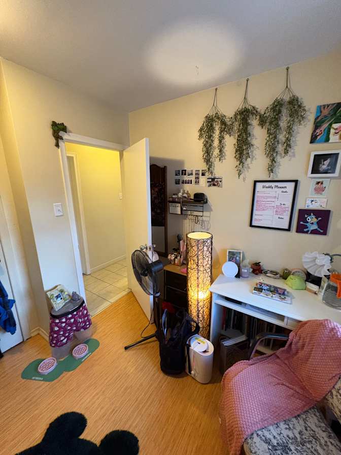 Alexa's room