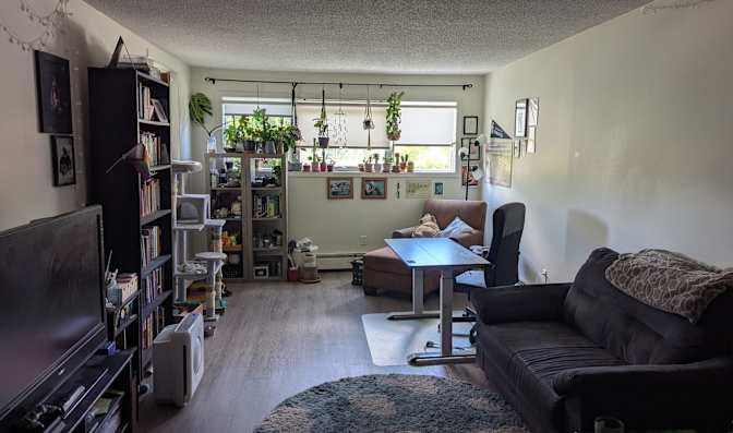 Northwest Calgary - Photo 4