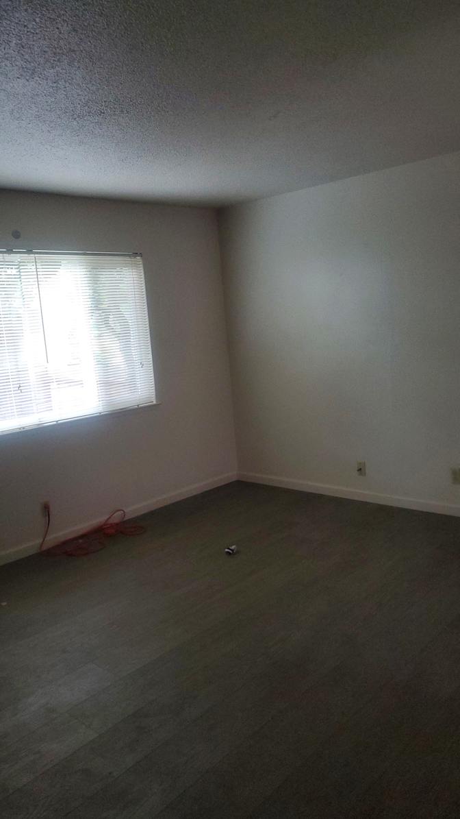 David's room