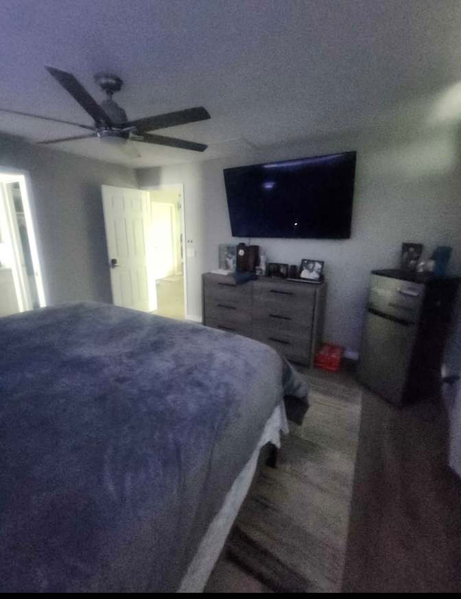 Amy's room