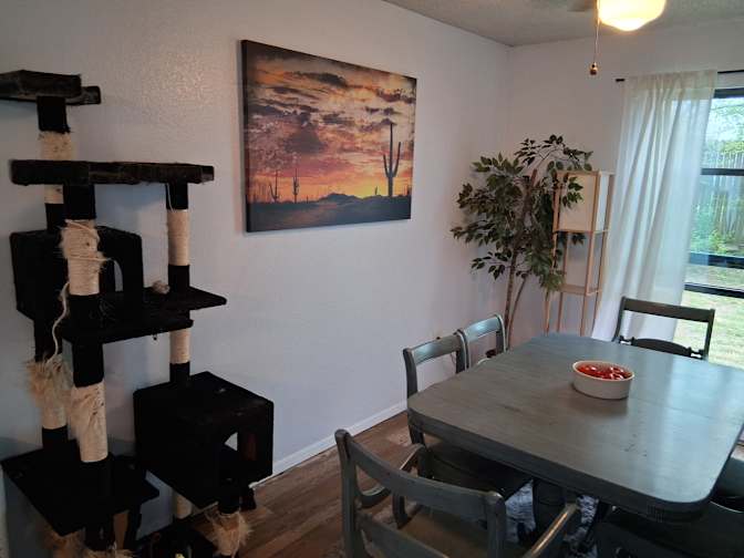 Mark Fain's room