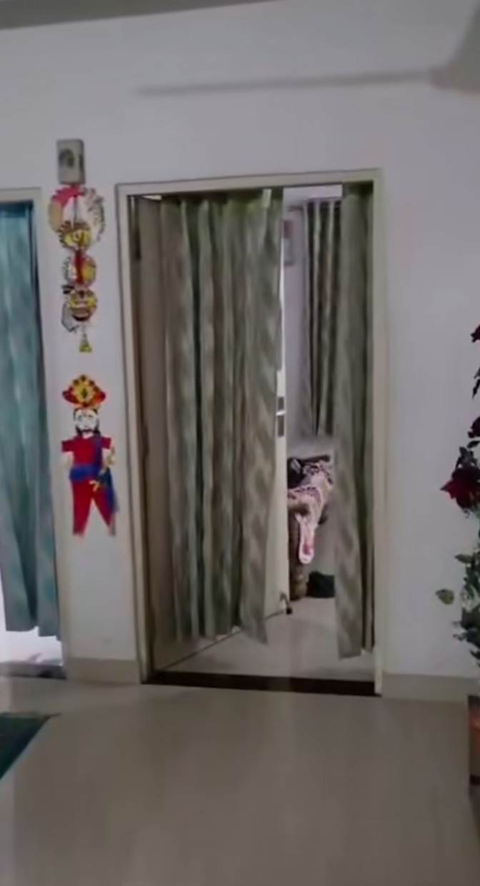 Jashan Rajput's room