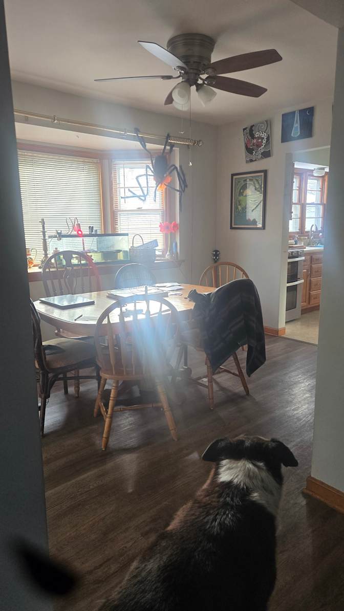 ryan dove's room