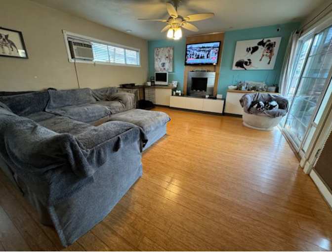 Melissa Danio's room