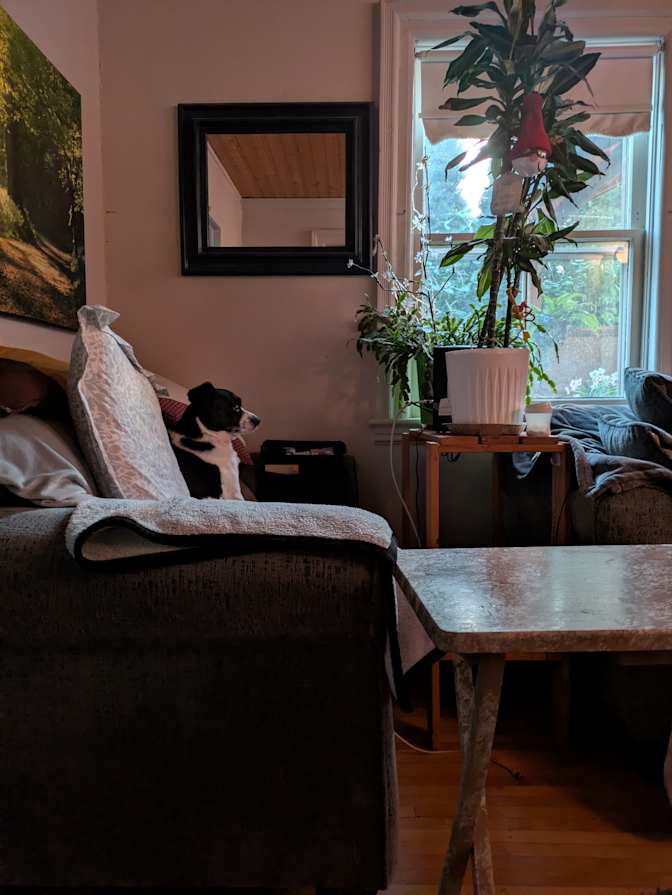 Kim Gerrow's room