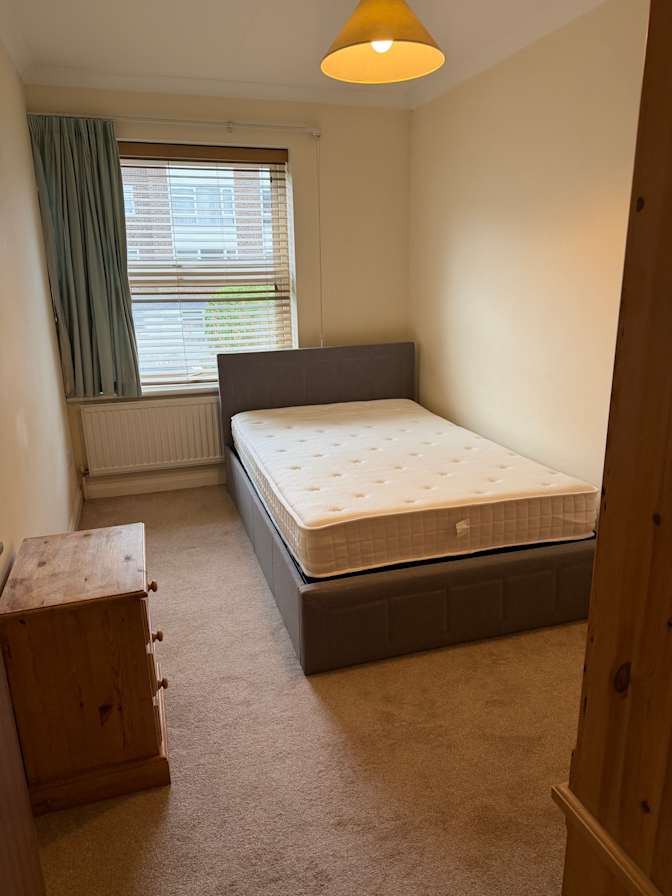 Rosha's room