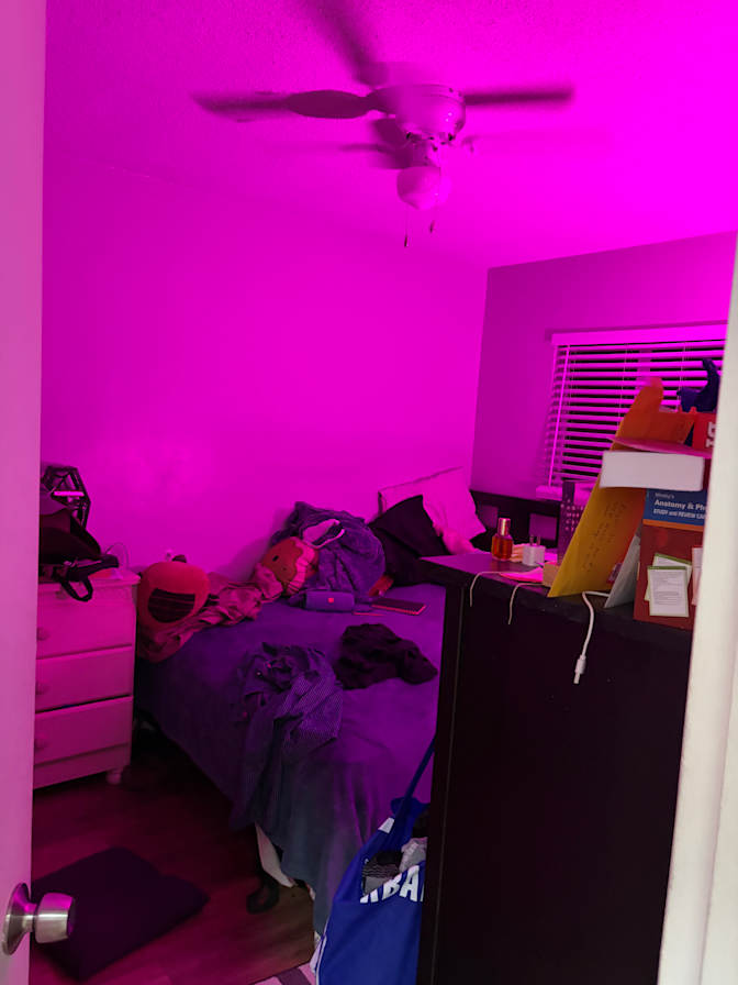 Paul's room