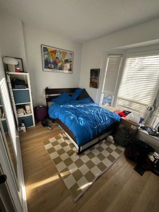 Daniel Neamtu's room