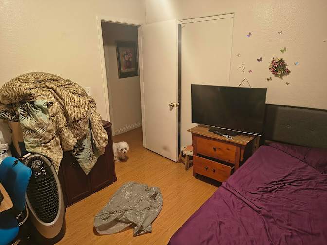 Arrow's room