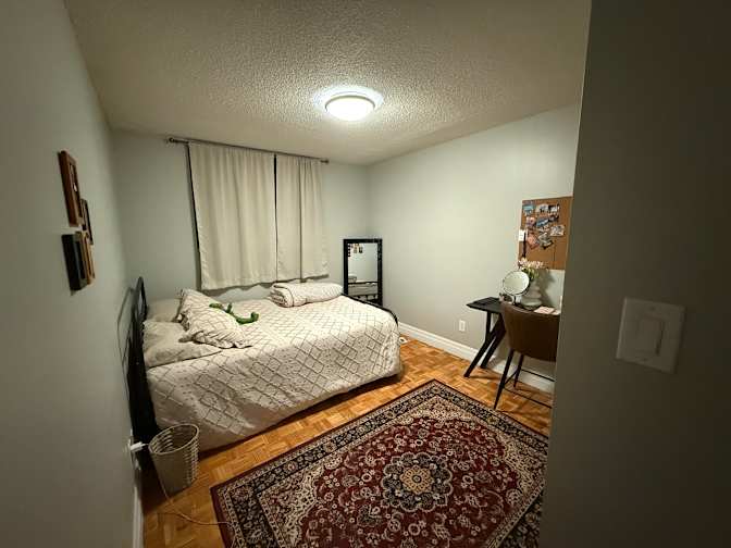Armita Kavianirad's room
