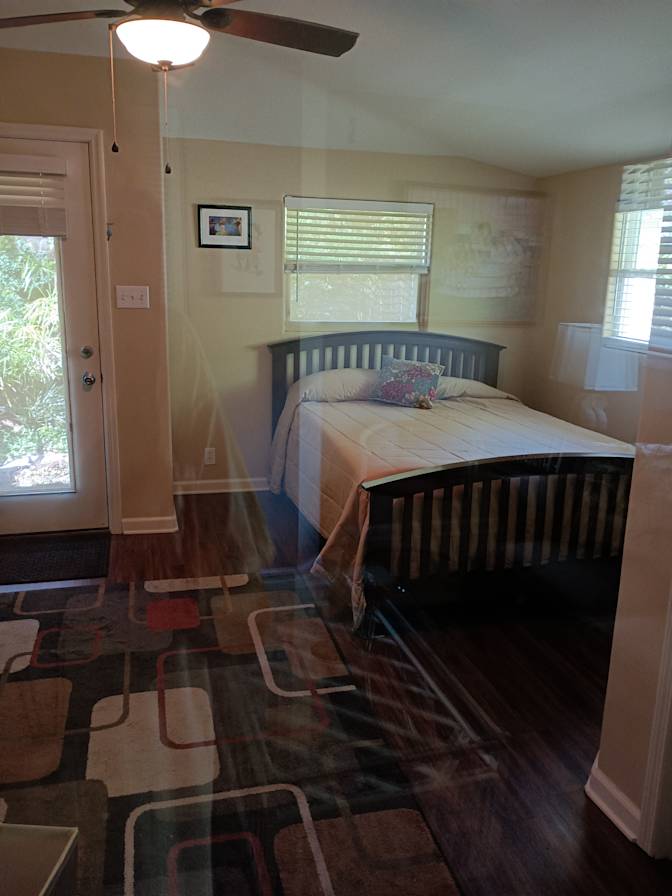 Lily's room