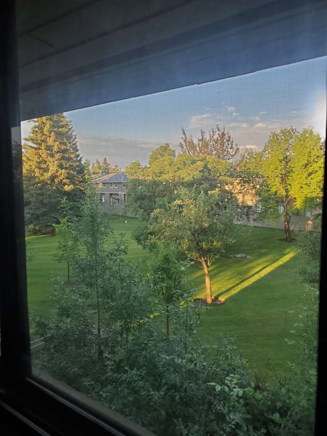 Southwest Calgary - Photo 7