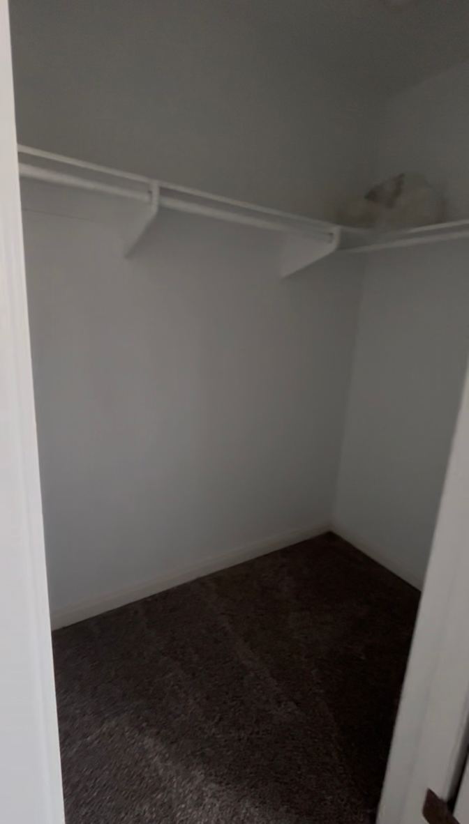 Shirley's room