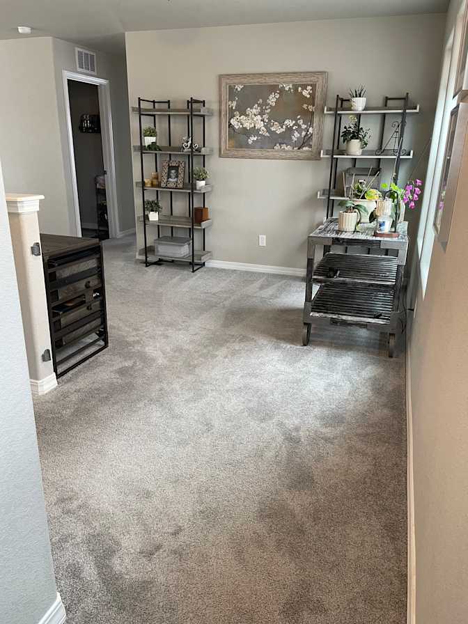 Michelle Starr's room