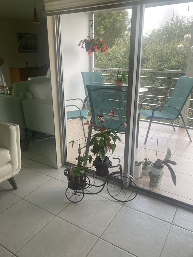 Cecilia Solomon's room