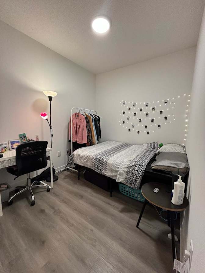Shabnam's room