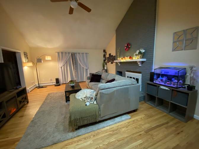 Stephanie's room