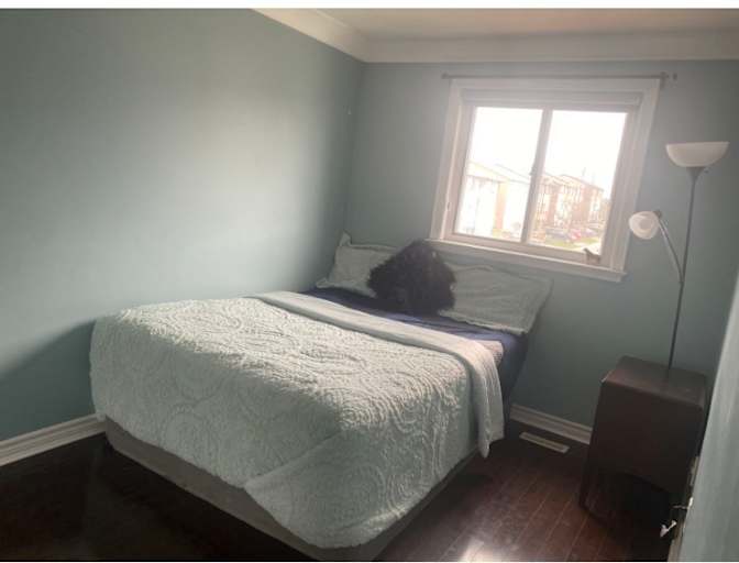 Priyanka Sisaudiya's room