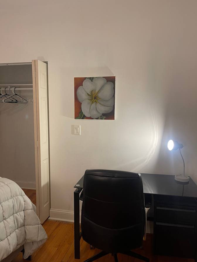 Xochitl's room