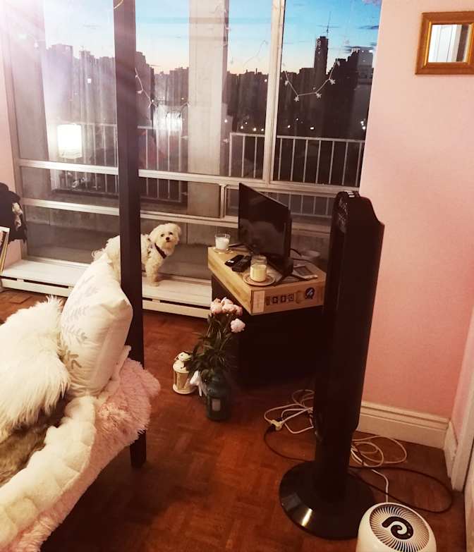 Chelsea's room