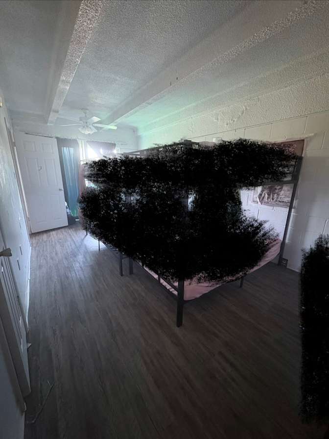 Chiquita's room