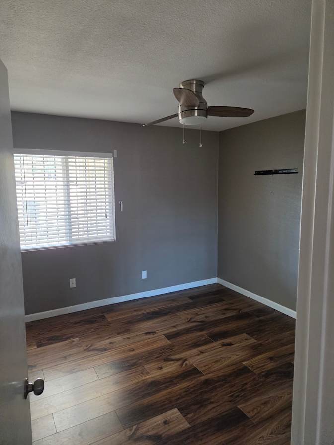 Michael Damiani's room