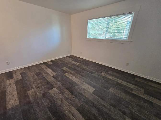 shannon's room