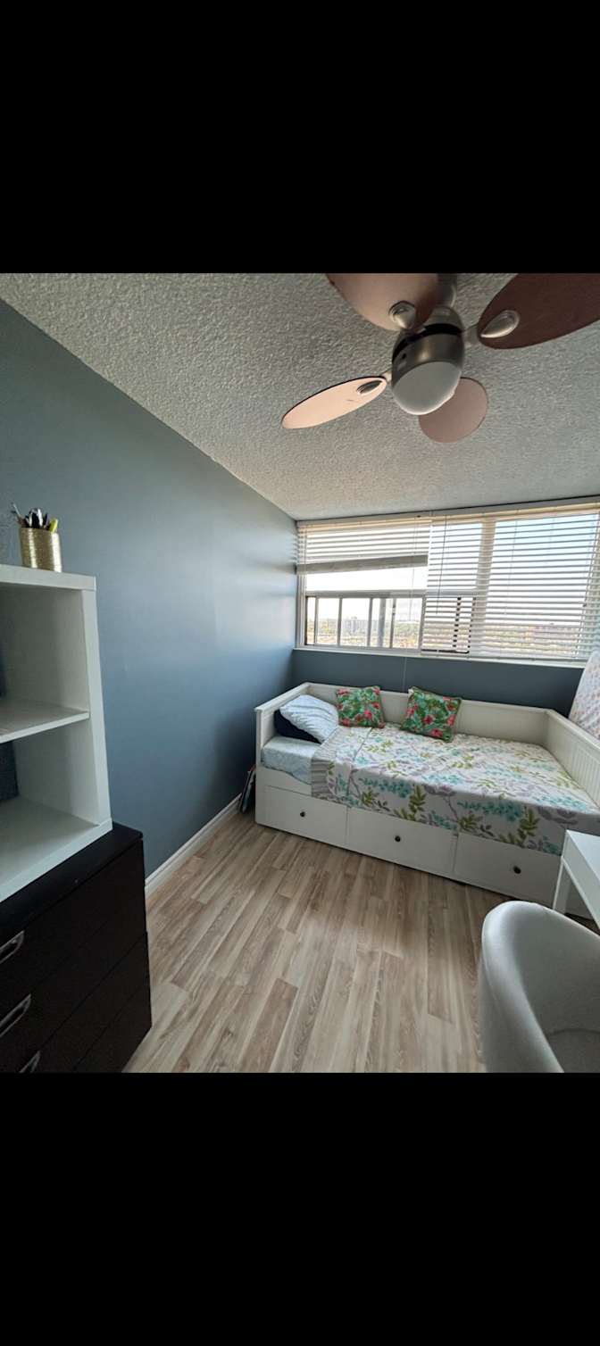 Zein's room