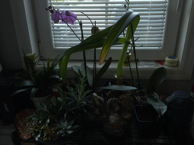 John's room