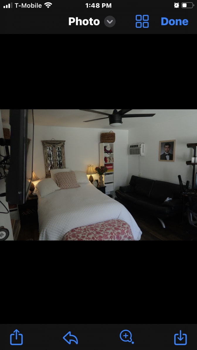 P's room