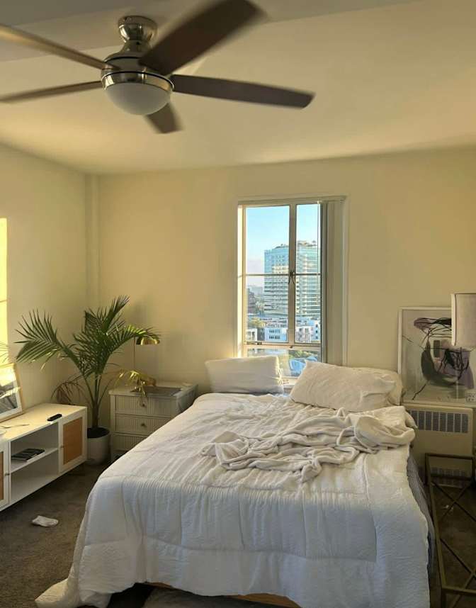 Shelton Taylor's room