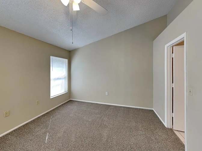 Andrew's room