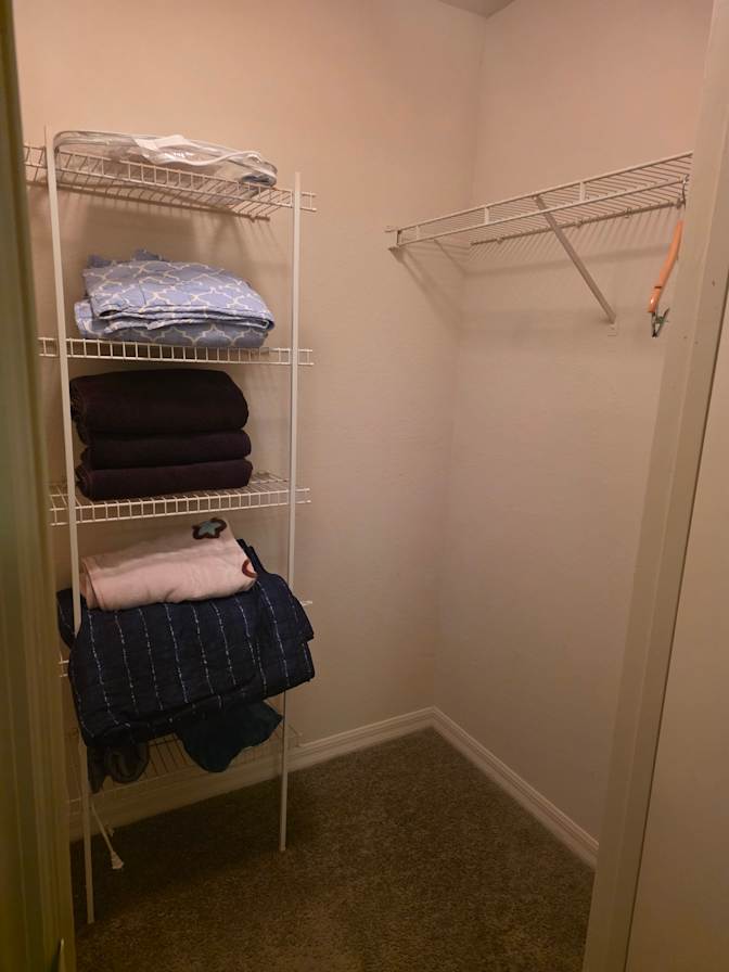 Cat's room