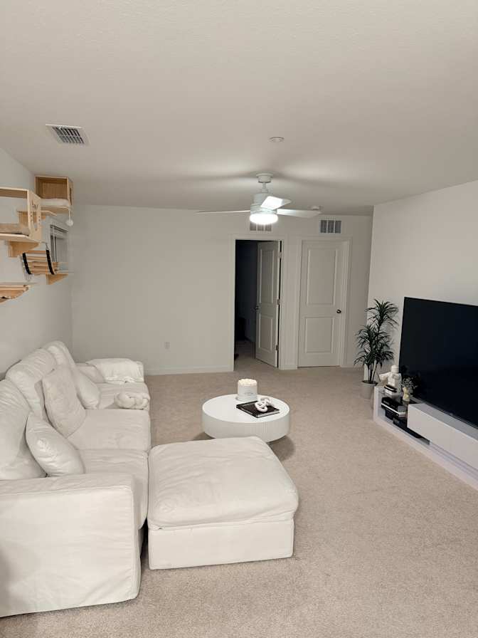 Colton's room