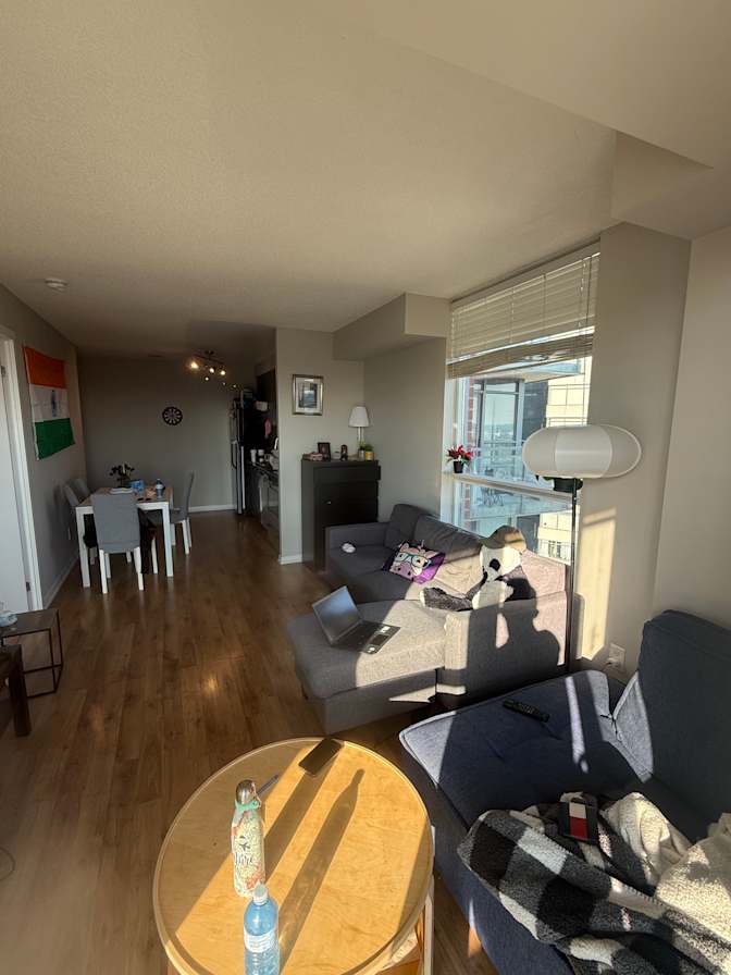 Kaytee's room
