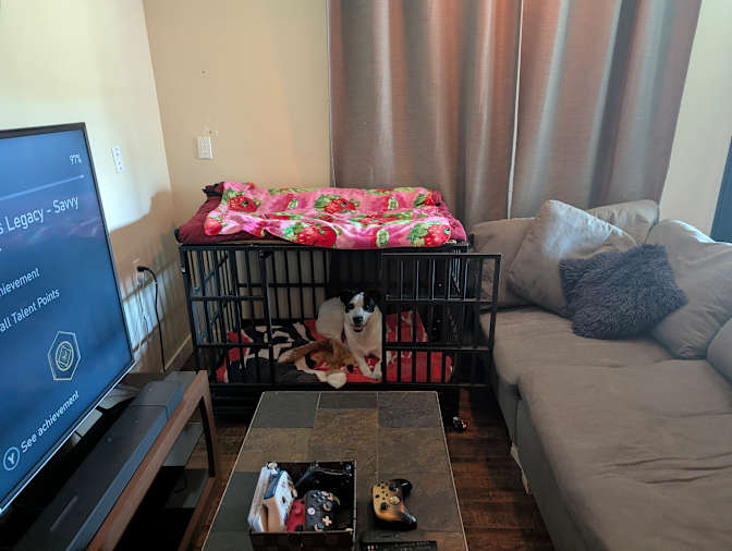 Ryan's room