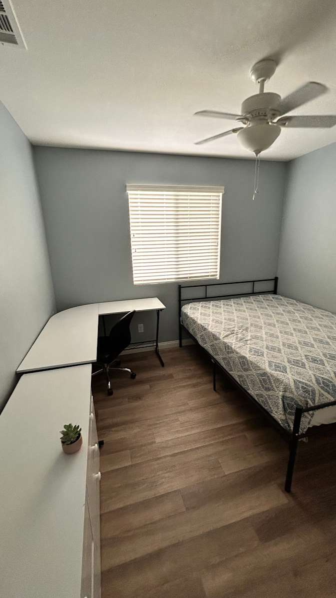 Ed's room