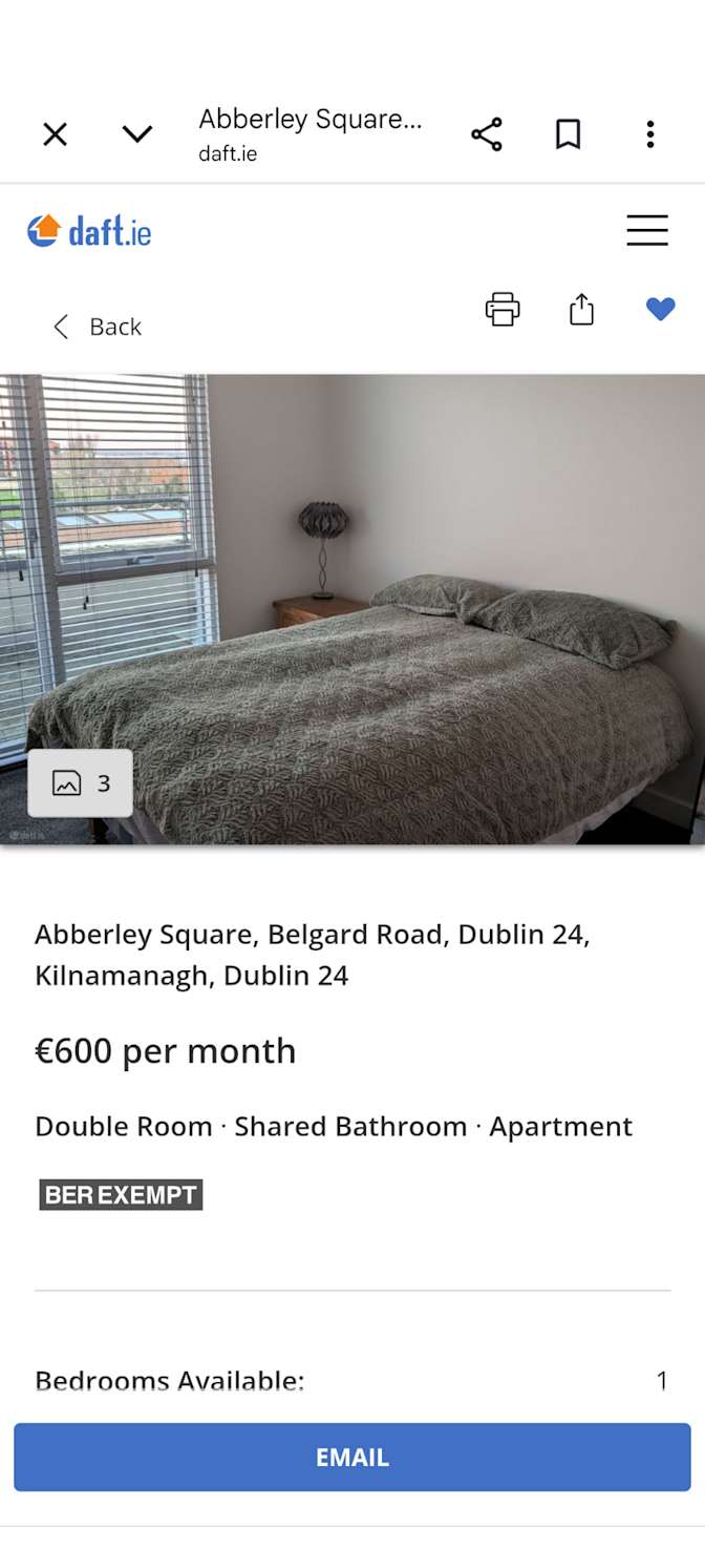 David's room