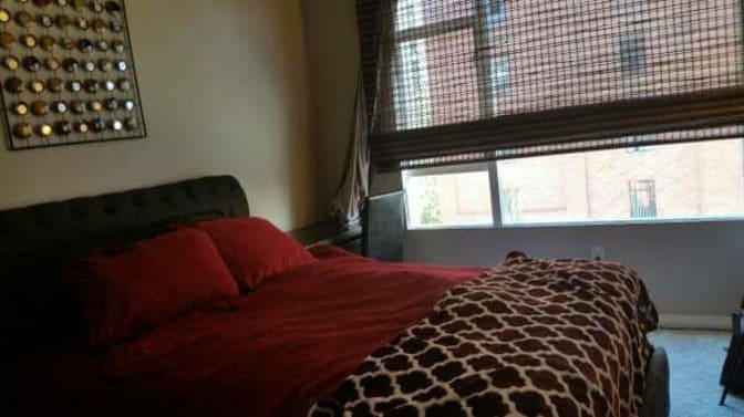 Solly's room