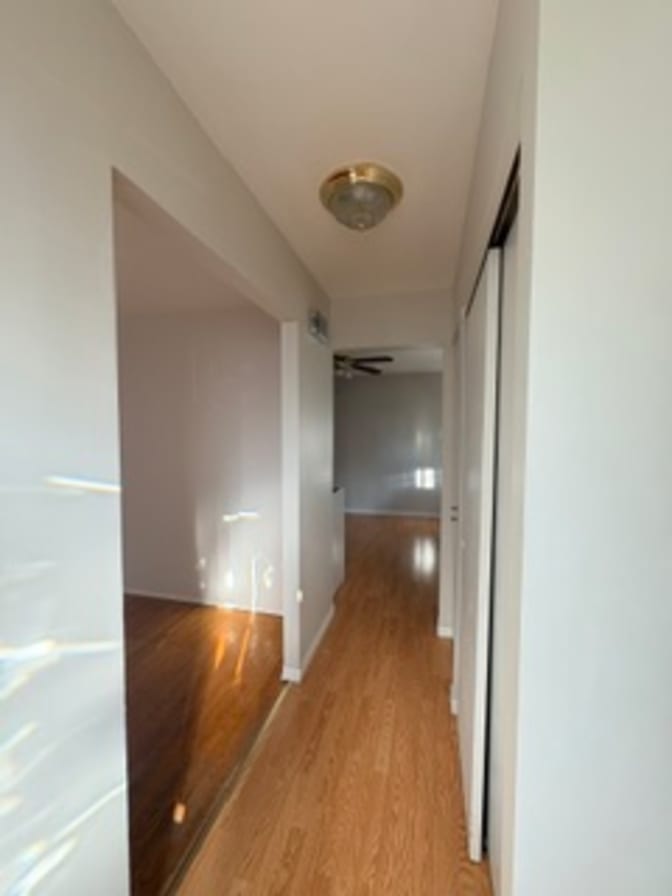 Dan Attisano's room