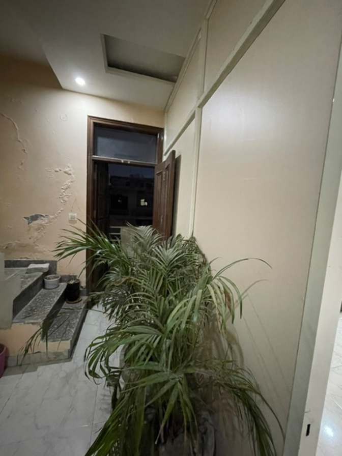 Animesh Panwar's room