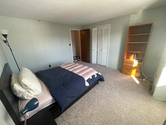 Shivani's room