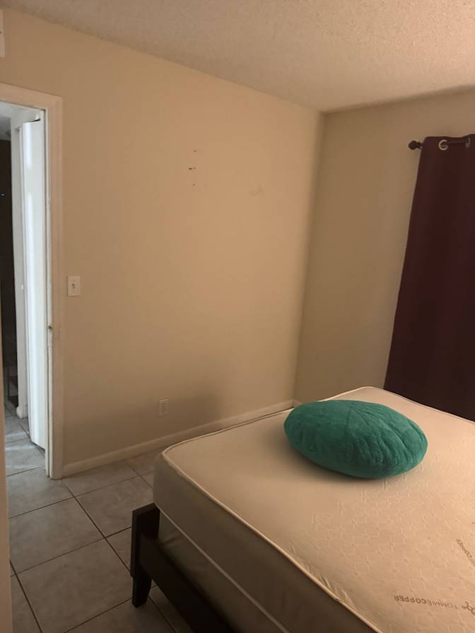 Nessa's room