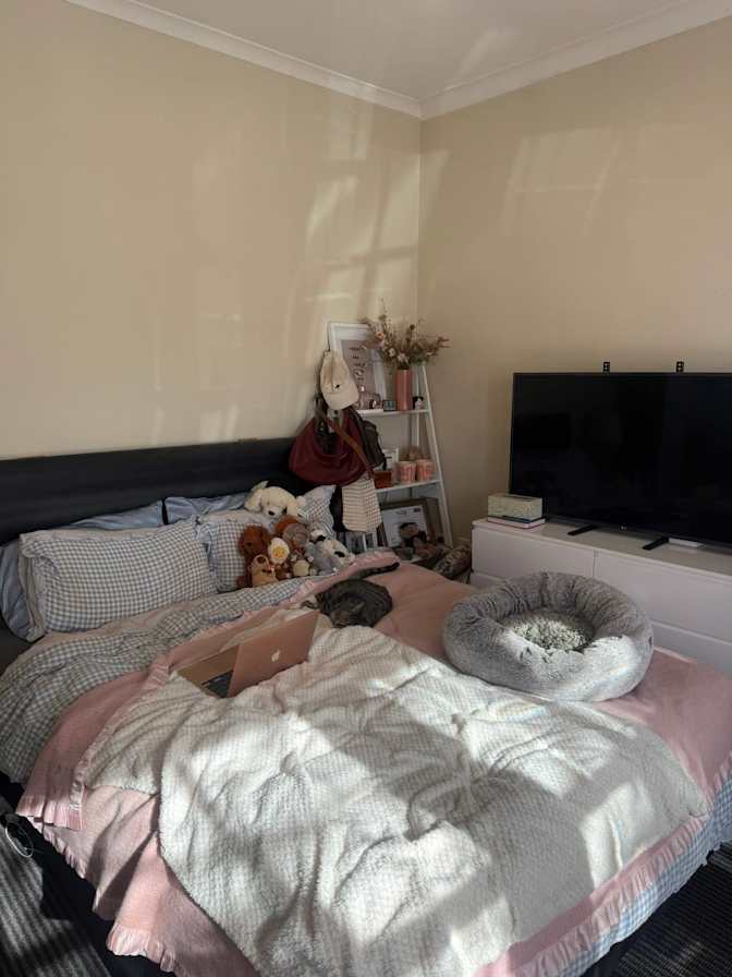 Loree's room