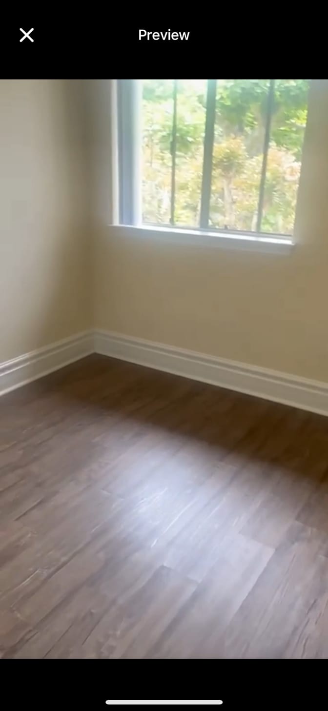 Luz's room