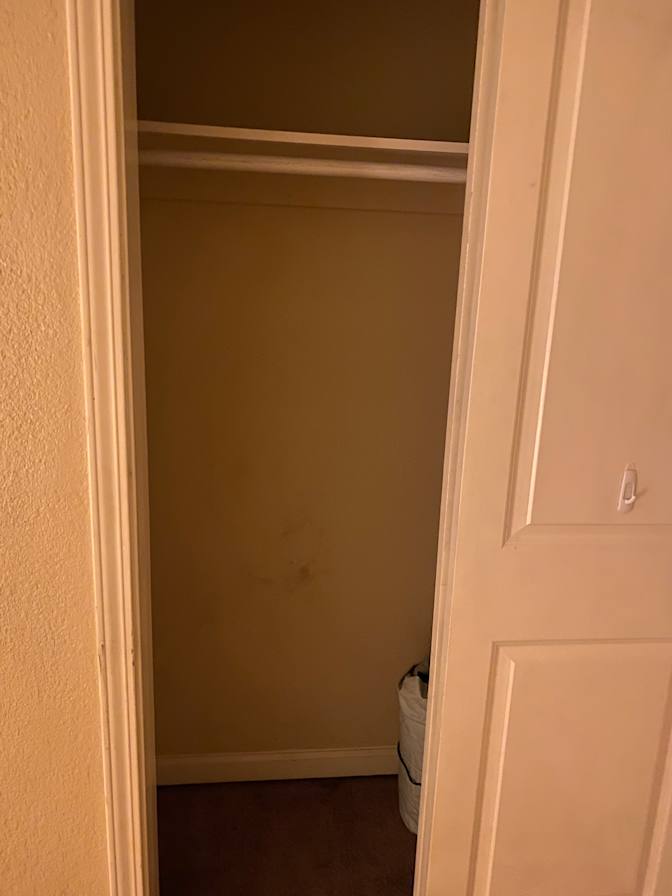 rochel cargile's room