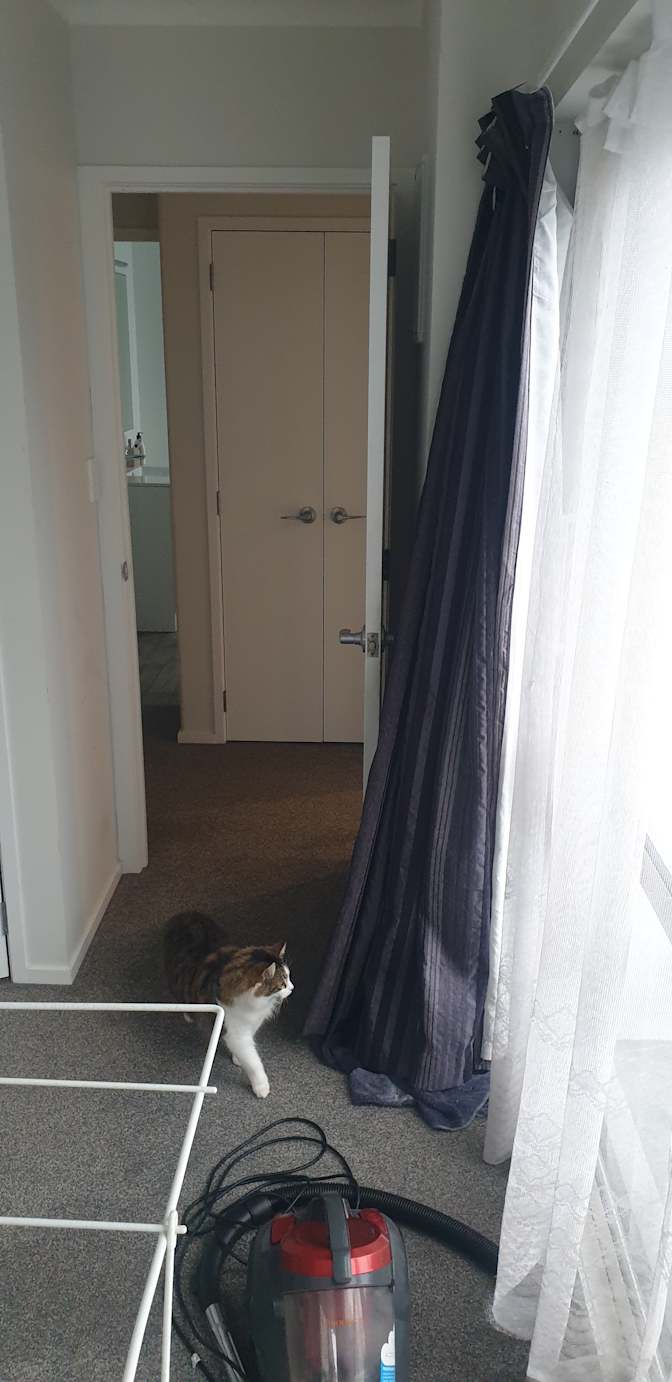 Steve's room